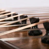 آموزش خصوصی سنتور|خدمات آموزشی|کرج, گوهردشت|دیوار