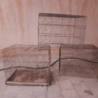 قفس قناری