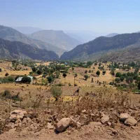 زمینی-بسیار-زیبا-برای-باغچه