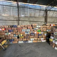 ذغال‌پسته(قلم،کنده وکبابی)