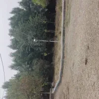 فروش زمین برای ساخت ویلا|فروش زمین و ملک کلنگی|شوشتر, |دیوار