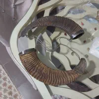 اشیا عتیقه