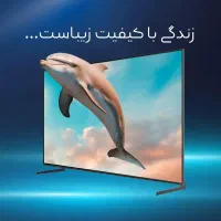 تلویزیون 55 اینچ هوشمند 4K QLED هیمالیا/لئوکو|تلویزیون و پروژکتور|نیشابور, جمهوری|دیوار