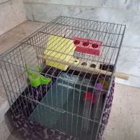 قفس پرنده