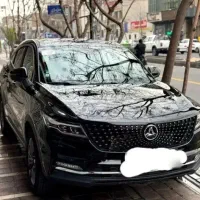 دیگنتی پرایم تومشکی