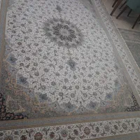 شرکت شاد نقش مشهد