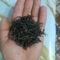 چای درجه یک بهاره