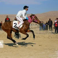 فروش مادیان