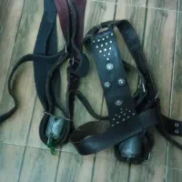 کمربند علامت|کلکسیون اشیاء عتیقه|دورود, |دیوار