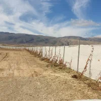 فروش زمین با مجوز گلخانه (باغشهری)|فروش دفتر صنعتی، کشاورزی، تجاری|شیراز, بید زرد|دیوار