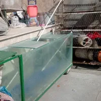 اکواریوم . قفس و تخته کار|لوازم جانبی حیوانات|کرمانشاه, |دیوار