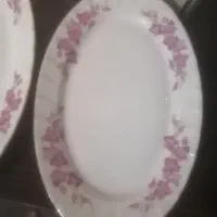 دیس پلو خوری