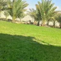 باعبانی وهرس کردن