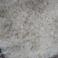 برنج ویژه منطقه درودزن|خوردنی و آشامیدنی|شیراز, میانرود|دیوار