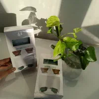 تنها نمایندگی کرم بوتاکس لاکچری کوین(بیوممتیک)اصلی