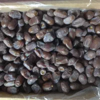 خرما کلوته