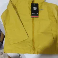 کریر|کالسکه و لوازم جانبی|سهند, |دیوار