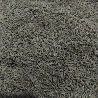 زیره سبز|خوردنی و آشامیدنی|شیراز, کفترک|دیوار