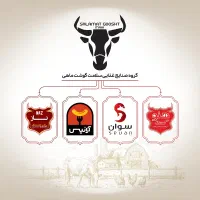 استخدام ویزیتور کاتالوگ 2 ( دورکار،درآمد نامحدود)