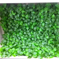 چمن مصنوعی ، گرین وال ، فنس چمنی ،  ترمو کفسازی|گل مصنوعی|صفادشت, |دیوار