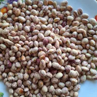 لوبیا چیتی و برنج کامفیروز