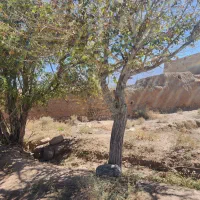 ملک کلنگی جهت بازسازی دردل بافت سنتی تفت(مبارکه)|فروش خانه و ویلا|تفت, |دیوار