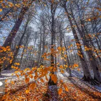 تور ریلی شمال|تور و چارتر|مرودشت, بیست متری بیمارستان|دیوار