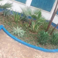 انواع خدمات باغبانی|خدمات باغبانی و درختکاری|اهواز, کیانپارس |دیوار