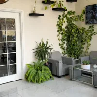 استخدام فقط مشاور مبتدی