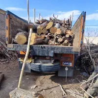 خرید چوب و هرس تخصصی درختان|خدمات باغبانی و درختکاری|قم, قلعه صدری|دیوار