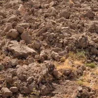 یک هکتار زمین زراعتی