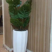 درختچه برگ انجیری نو وارداتی|گل مصنوعی|یاسوج, |دیوار