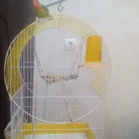 قفس پایه دار