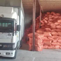 پر مرغ خوشخواب|رختخواب، بالش، پتو|تهران, هرندی|دیوار