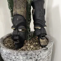 انواع دیوارکوب سرخپوست چهره اسکلت سر گاو جاعودی|مجسمه، تندیس، ماکت|تهران, آبشار تهران (دریاچه)|دیوار