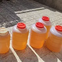 عسل بهاره درجه یک|خوردنی و آشامیدنی|تربت‌حیدریه, شهرک ولیعصر|دیوار