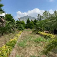 زمین ۱۱۳۰متری مسکونی مخصوص ویلاباغ دو قدمی شهر|فروش زمین و ملک کلنگی|لاهیجان, لیالستان|دیوار