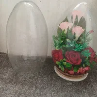 تنگ شیشه ای