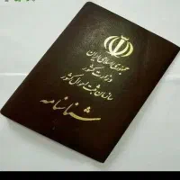 شناسنانه  گمشده