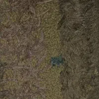 گلیم فرش ۱.۵ در ۲.۵ متر(۴ متر) سالم و زیبا|فرش|کرمانشاه, |دیوار