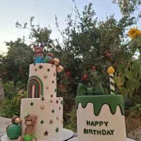 ماکت کیک برای عکاسی