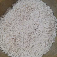 نیمدانه هاشمی
