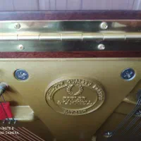 پیانو|پیانو، کیبورد، آکاردئون|شیراز, باغ تخت|دیوار