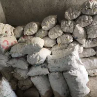 جلی   1402 بذری