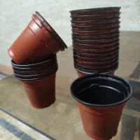 گلدان ژله ای uv سایز 6 تعداد 900 عدد