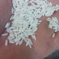 برنج محلی دورود|خوردنی و آشامیدنی|تهران, مرزداران|دیوار