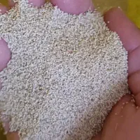 بذر عالی|گل و گیاه طبیعی|الیگودرز, |دیوار