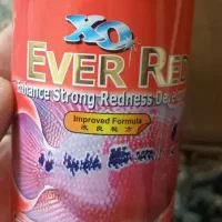 فلاور رد دراگون|ماهی|مشکین‌دشت, |دیوار