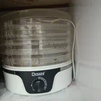 میوه خشک کن دسینی