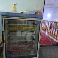 دستگاه جوجه